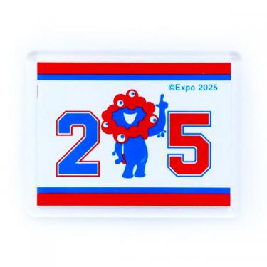 今市隆二　フレームマグネット　シークレット 2025年最新】今市隆二シークレットの人気アイテム - メルカリ