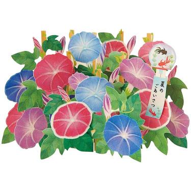 サマーカード 朝顔いっぱい