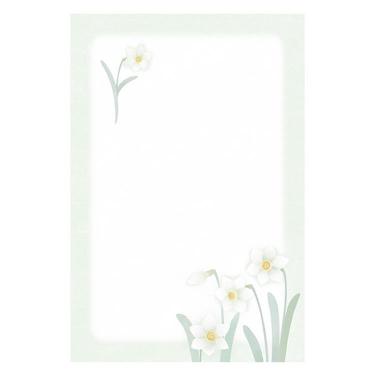 喪中はがき 水仙 10枚入り