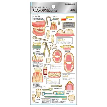 大人の図鑑シール 歯