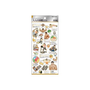 大人の図鑑シール 筋肉