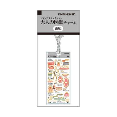 大人の図鑑チャーム 歯