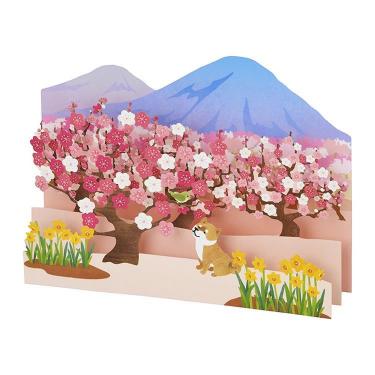 春柄 カード 立体 梅林に柴犬