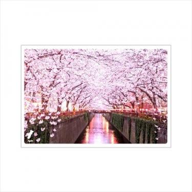 日本の絶景ポストカード 目黒川の桜