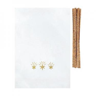 シースルーバッグ スター