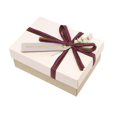 ナチュラルボックス S ワイン/アイボリー