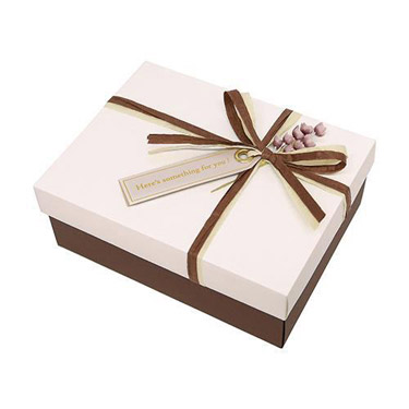 ナチュラルボックス M ベージュ/モーブ