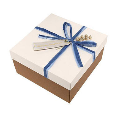 ナチュラルボックス L ブルー/ベージュ