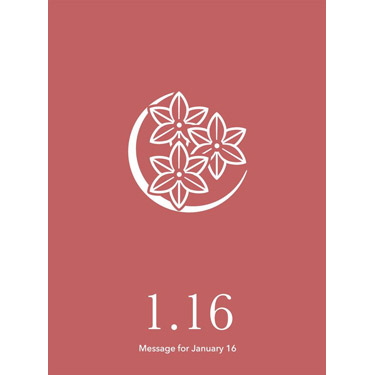 花結びメッセージカード 1月16日