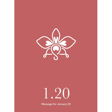 花結びメッセージカード 1月20日