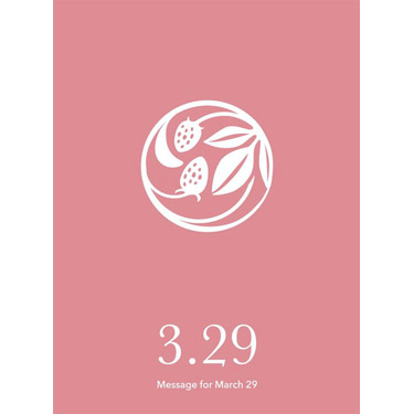 花結びメッセージカード 3月29日