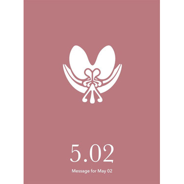 花結びメッセージカード 5月2日