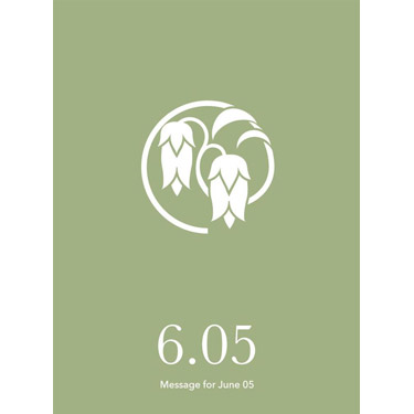 花結びメッセージカード 6月5日