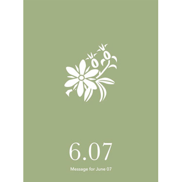 花結びメッセージカード 6月7日