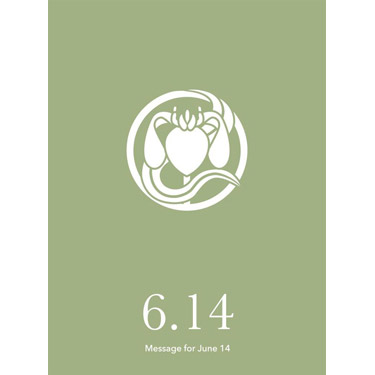 花結びメッセージカード 6月14日