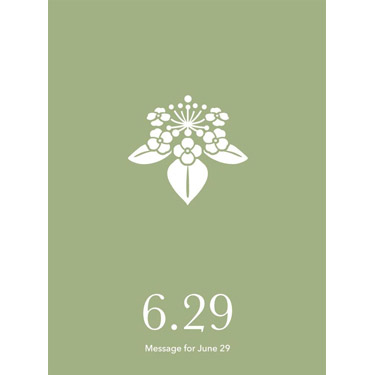 花結びメッセージカード 6月29日