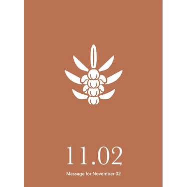 花結びメッセージカード 11月2日