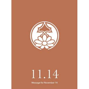 花結びメッセージカード 11月14日