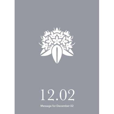 花結びメッセージカード 12月2日