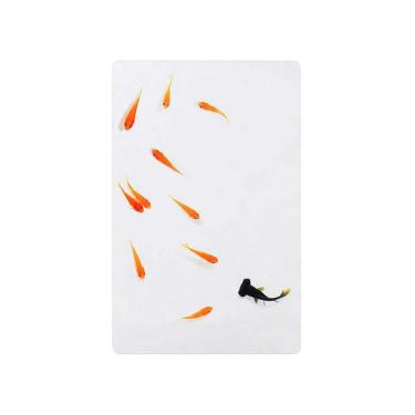 透明写真栞 小赤と出目金