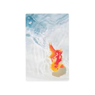 透明写真栞 オランダ獅子頭と波紋