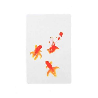 透明写真栞 三尾和金と琉金