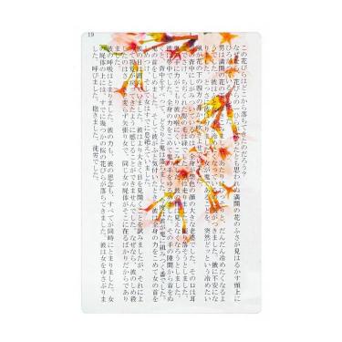 透明写真栞 桜