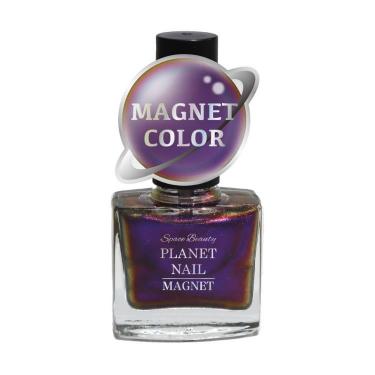 マグネットネイル PLM04 シークレットパープル