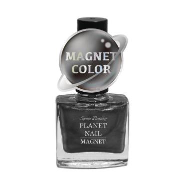 マグネットネイル PLM08 ブラックスワン