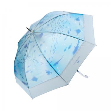 長傘 ビニール傘 えのすい×Wpc. おはよう、大水槽 切り継ぎブルー【ロフト限定】