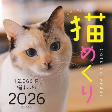 2026年1月始まり 卓上 猫めくりカレンダー