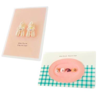 クリエイターズサーカス クリアカード Maison terrier メレンゲドッグス