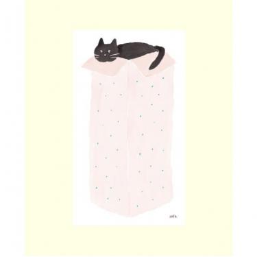zafa メモ 黒猫