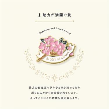 マイアワード ピンズ JAPAN チャーム