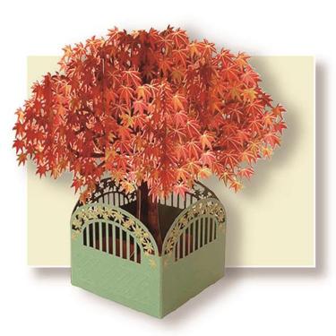 秋柄ポップアップカード 紅葉の木