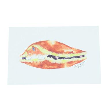 ポストカード SHIBADORA by 村田夏佳