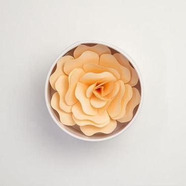 花手紙 Hanafumi イエロー