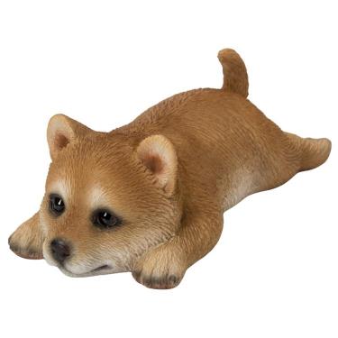 うつぶせ柴犬のマグネット