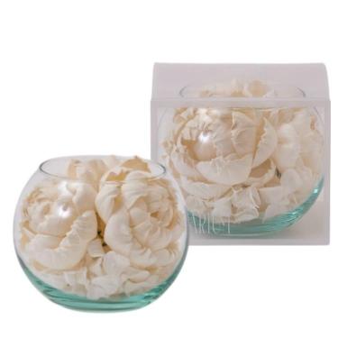 ソラリウム ピオニーオレンジ