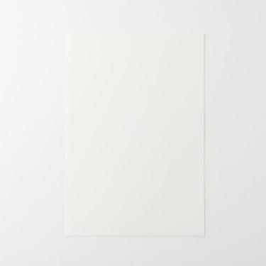 テリュー・ザ・マット 吸い取り紙 A5