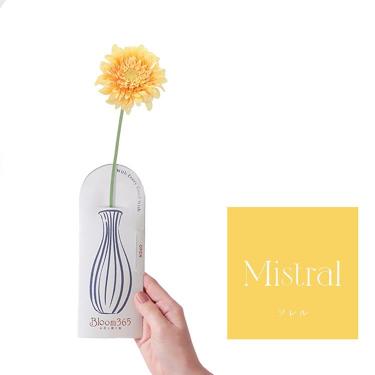 Bloom365 ソレル ガーベライエロー