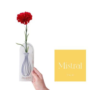 Bloom365 ソレル カーネーションレッド