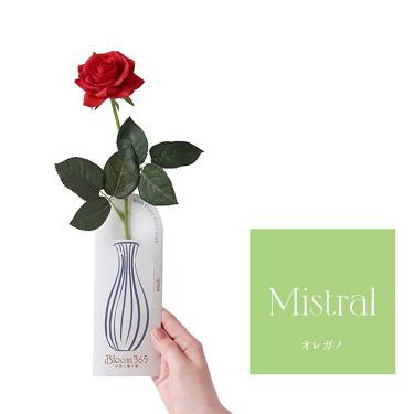 Bloom365 オレガノ ローズレッド