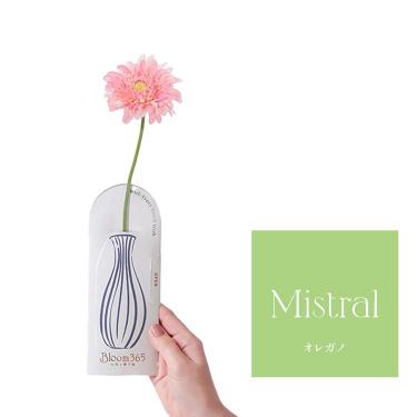 Bloom365 オレガノ ガーベラピンク