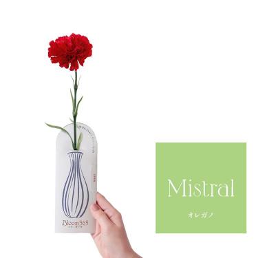 Bloom365 オレガノ カーネーションレッド