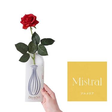 Bloom365 プルメリア ローズレッド