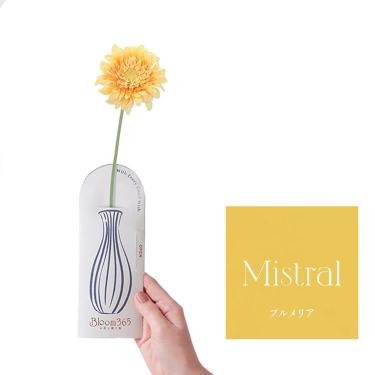 Bloom365 プルメリア ガーベライエロー