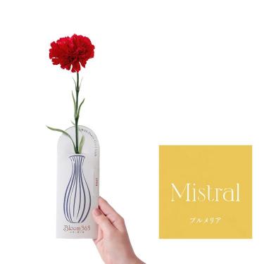 Bloom365 プルメリア カーネーションレッド