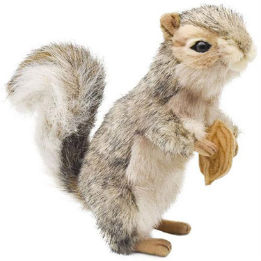 ハイイロリス21 ぬいぐるみ