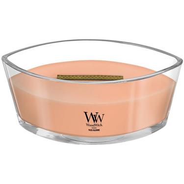 ハースウィック ユズブルームズ